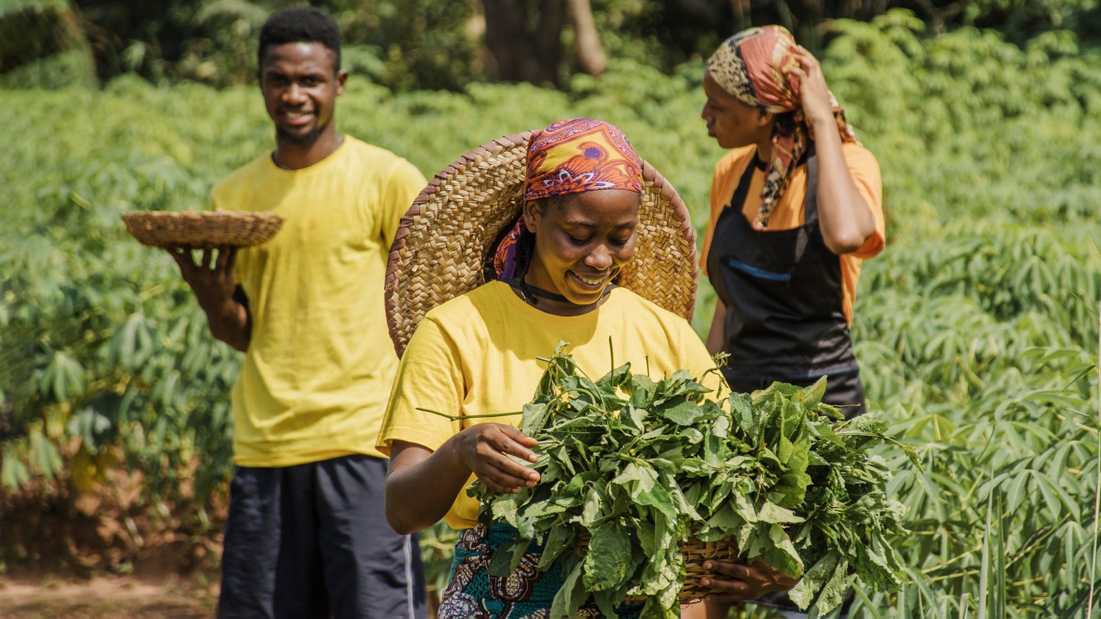 Community farm